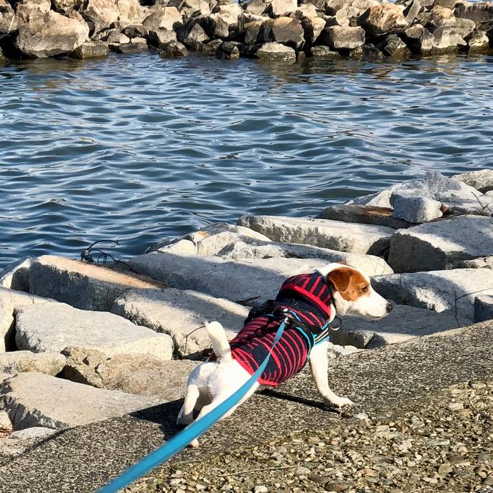 A889365a 9a62 42bf 8cc1 8e67bb3592ea 1646301383379