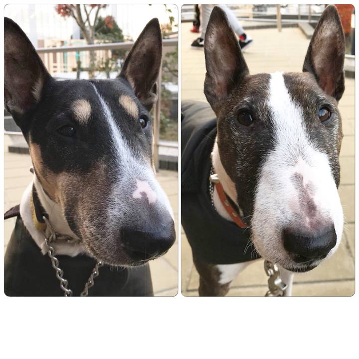 A8897212 1c76 4f36 ba5c 545c31d6ea9e 1513420514052