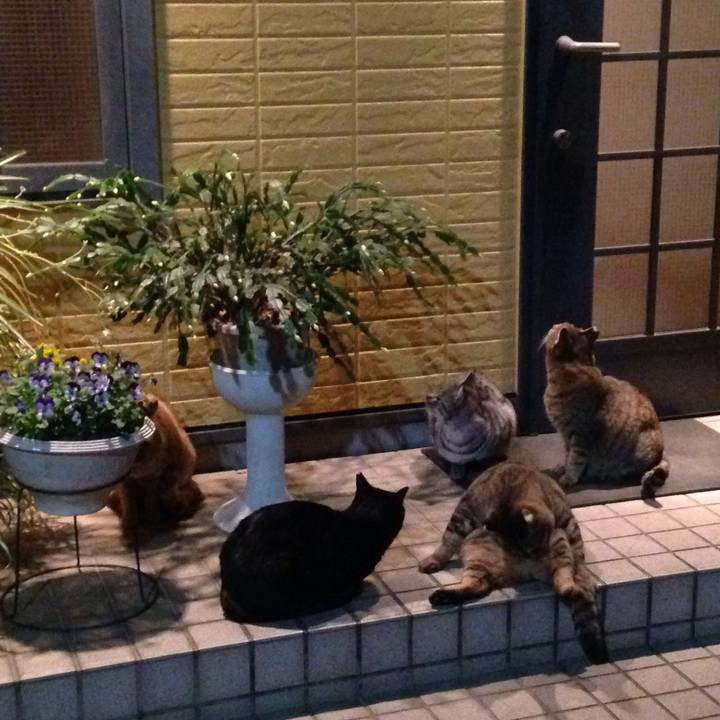 A88989a5 1b86 4ae1 b844 a011fe6e2d9e 1511774052591