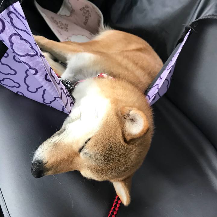 A8898c15 c5d4 4d87 836c fbd89c02c59b 1519548410952