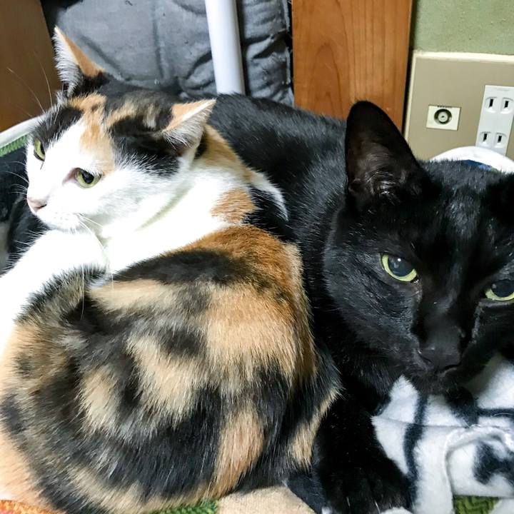 A8899b40 5b08 476b 9f3d fd4e3468ca87 1511093062077