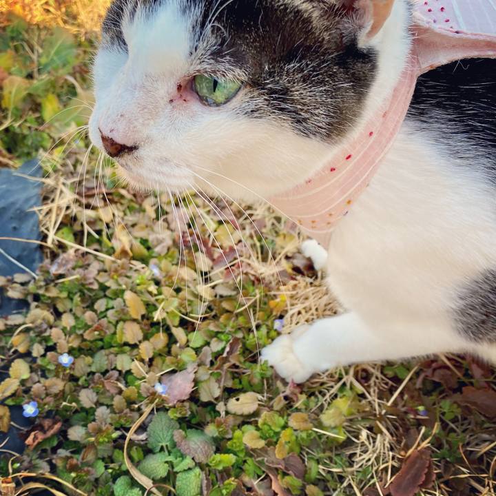 A889ace8 8511 497d aafc 2279a389c229 1610783305922