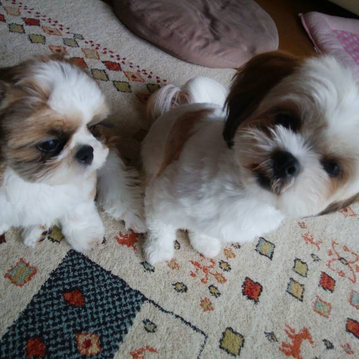 A889bff6 f049 4993 9af8 140182ce345d 1536711056153