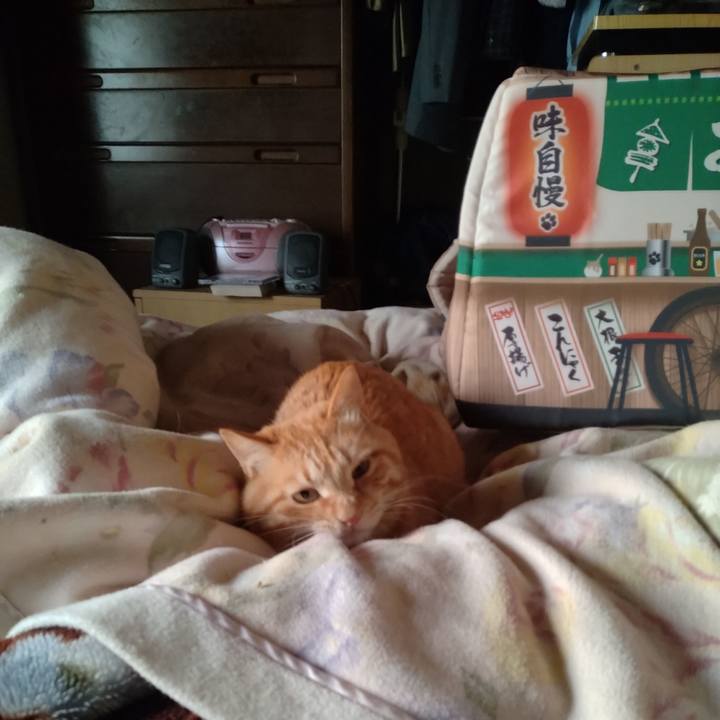 A889ed32 6958 4f41 aa3b 8b0f244575fc 1682369903942