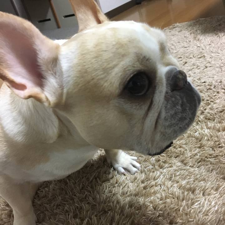 A889fb3e 30e0 4af8 9ae4 f8319b068752 1512307806304