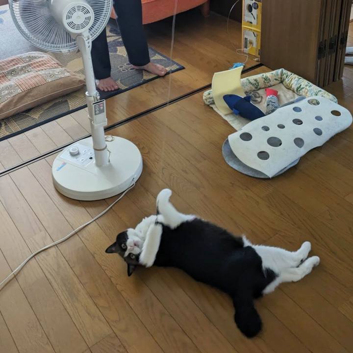 A88a022e 2a63 40b1 9308 c695f00cb276 1690607958710