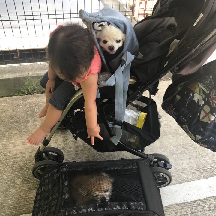 A88a7e6f e164 4037 ae4c b7fd5b0e76ca 1559806465057