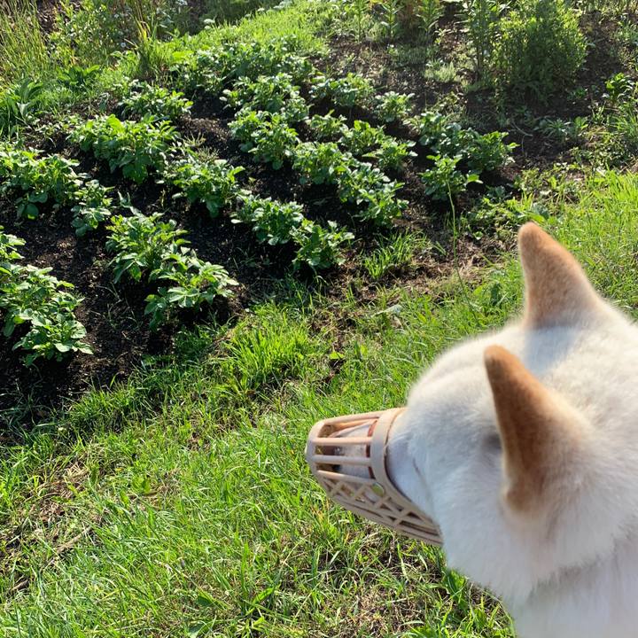 A88aa40e 311d 4d9f 86f0 42ef122566df 1561413455602