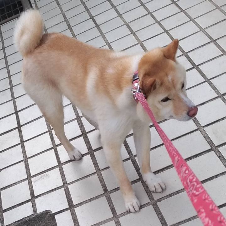 A88ab2f5 83d9 47f2 bf1e 034da0eb55d6 1555331897429