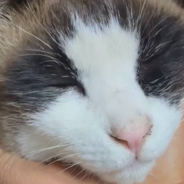 A88b1d2e 2a35 4349 b296 86c9295baff2 1772420585703