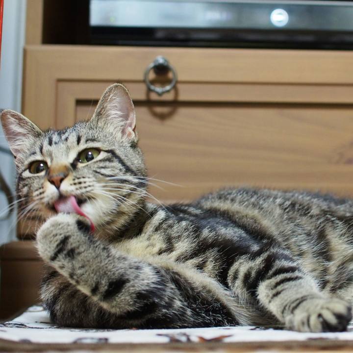 A88b315a d70e 4dec 8255 f15718531159 1527684897192