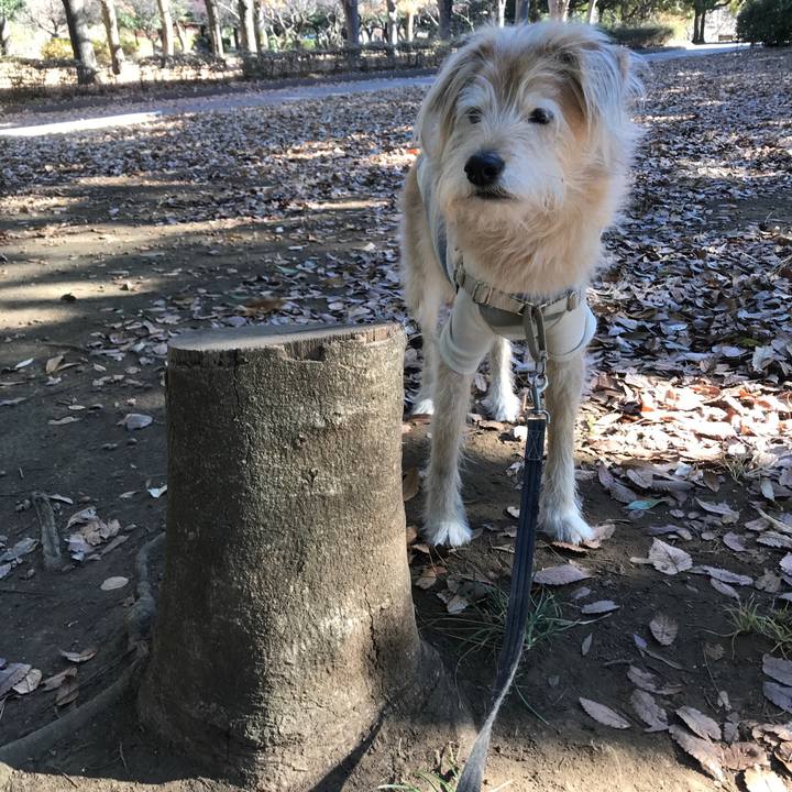 A88b47f6 dea8 4cfc 8d7c c5a60041ed44 1608542053016