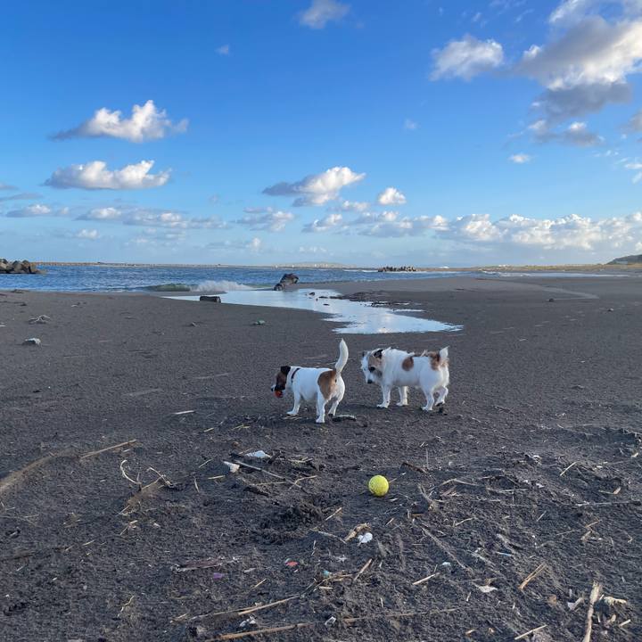 A88b6541 75fd 4acf 92d6 8dcc105495ad 1762044674983