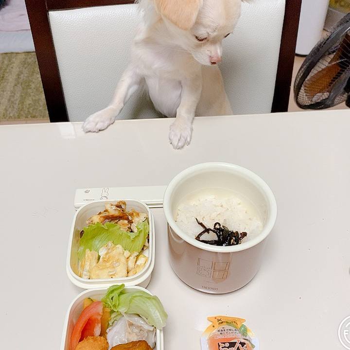 A88b73a9 bdfc 4556 9232 00fdfac90ee9 1601094924458