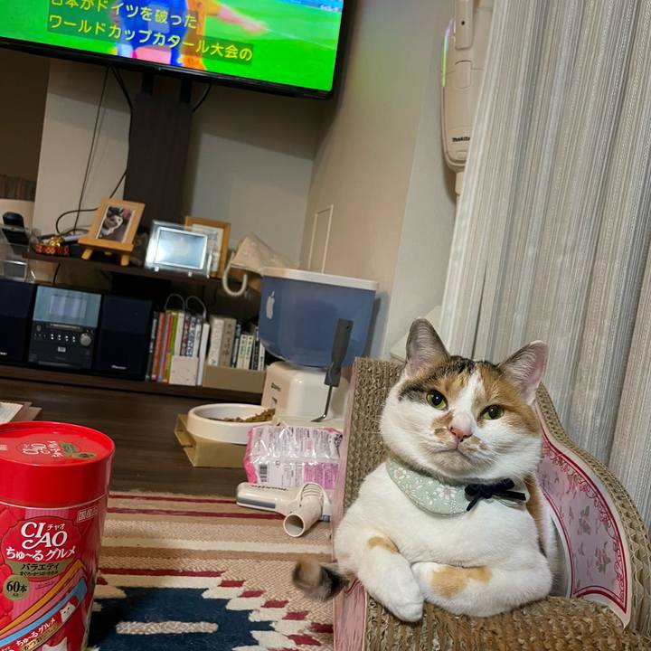 A88ba55d bbe7 435d 993b da58500a283e 1669215840123