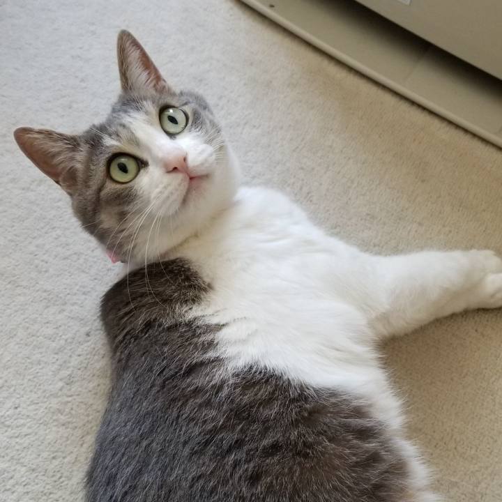 A88be58e 2e54 4d0f 8927 d23084c9453d 1556165361186