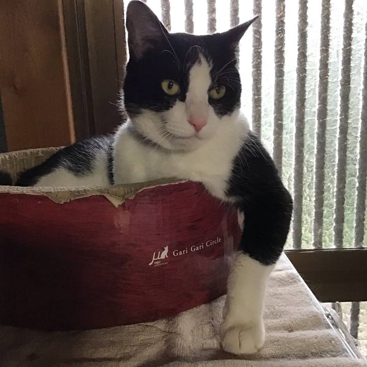 A88bec96 703c 4a8d b1d0 6768fd4e4017 1752752599406