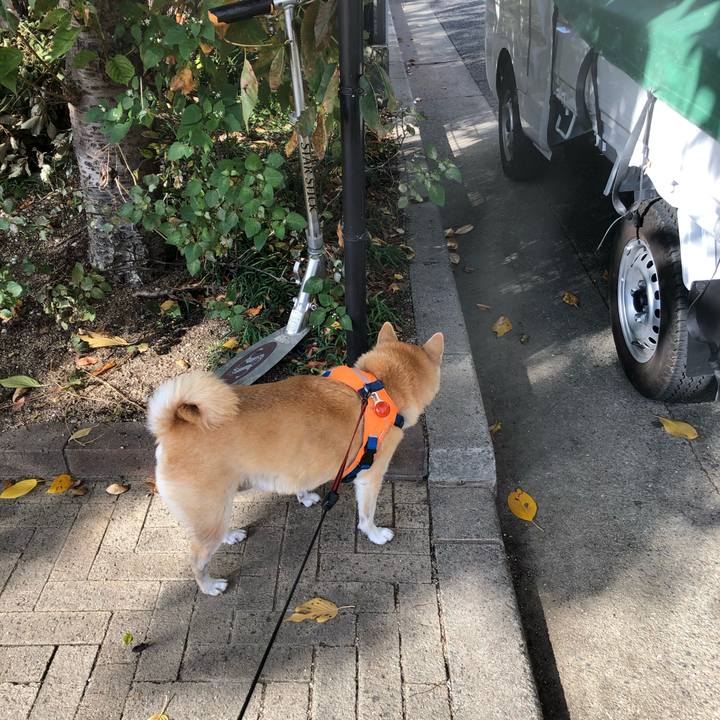 A88c2341 5d76 4252 89ad 6862c507b02f 1575362901012