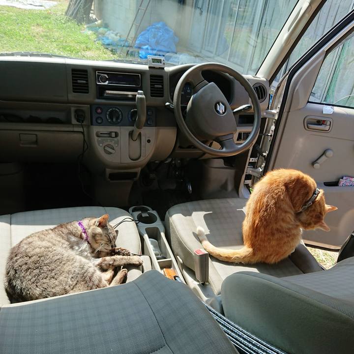 A88c4b52 096f 4eb1 b2b5 78520aa3af8b 1592719565321