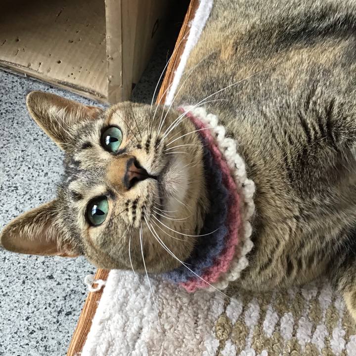 A88c603b 43e7 4f14 a488 c1ba4c8f503b 1620886197509