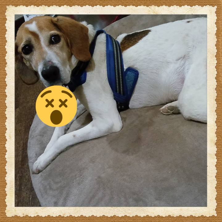 A88c6ba9 77e7 4ca2 9cdc 9b7c30966736 1744115767260