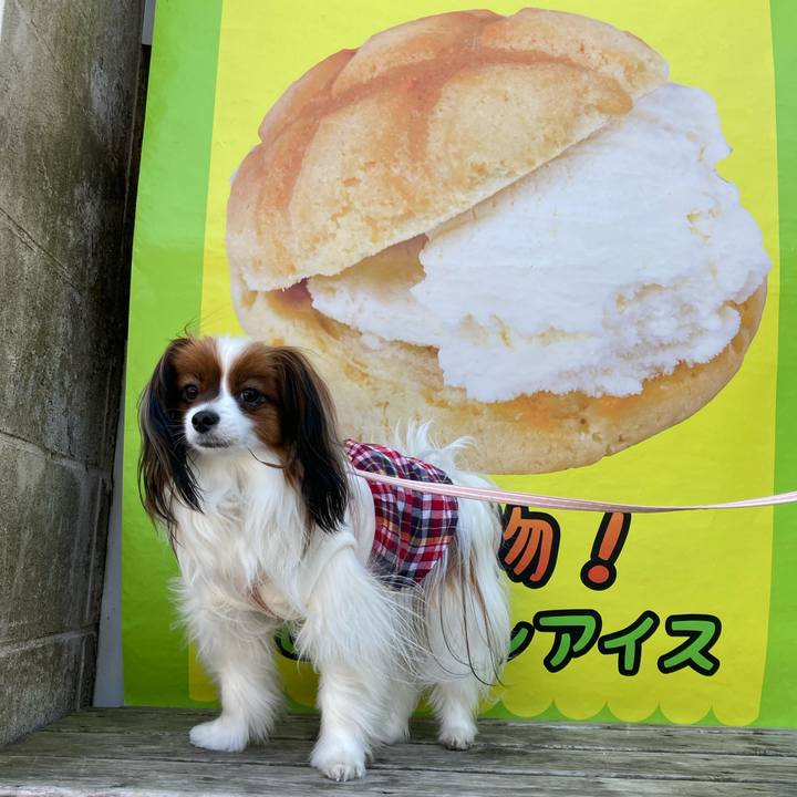 A88cd980 645e 494f 9d3a 28568e7d9924 1650847563762