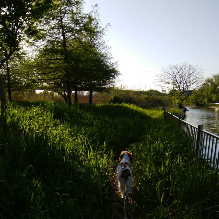 A88ceab9 83dc 405b b3ae d4e18476435f 1524139315324