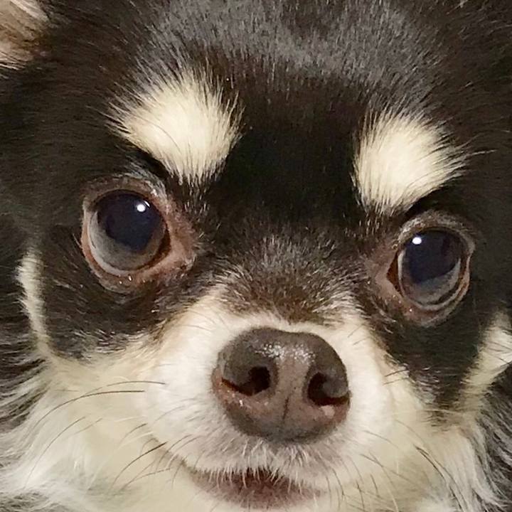 A88ceeaa ac87 4820 8bd0 ad125ba842f7 1515415299070