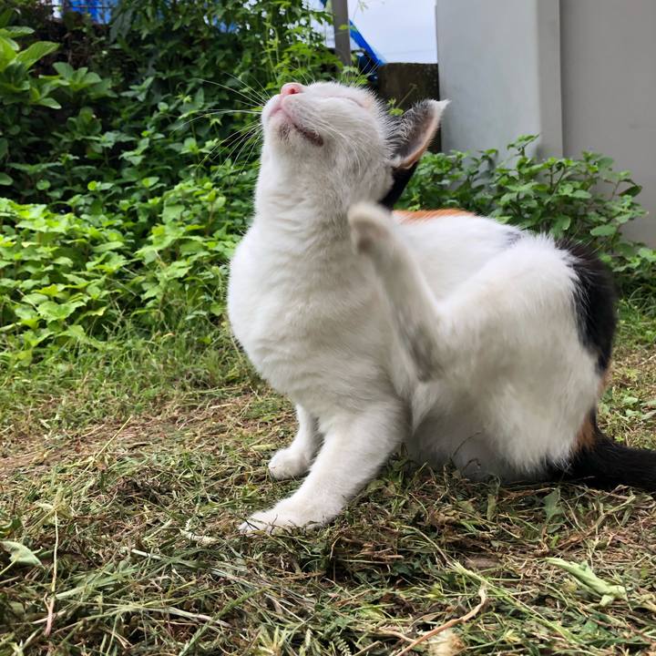 A88cef72 8be1 4fe0 a44f 2cb9bc643c5a 1600208203660