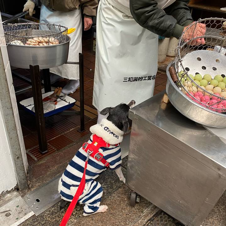 A88d3049 ee22 48a5 a78c 55afbf262660 1610848575359