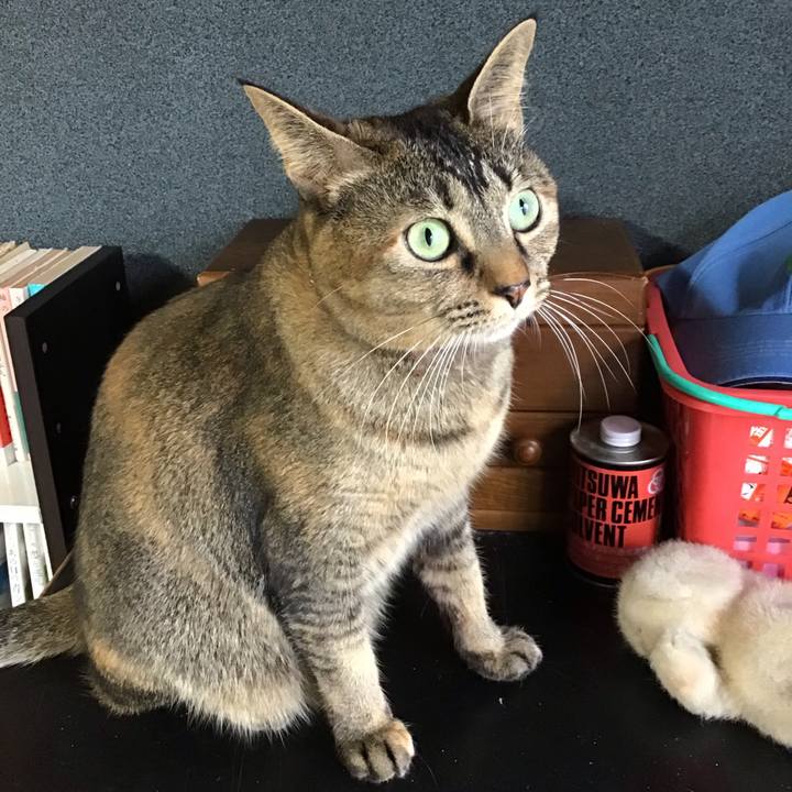 A88d4429 5de5 43da 98ec 2381e0bfa6ad 1637214146014