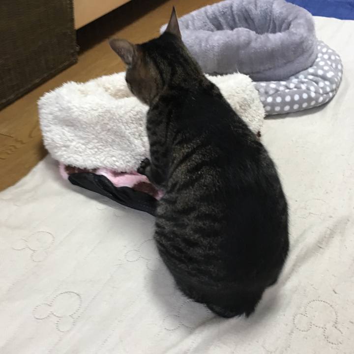 A88d7591 6b95 42d7 8df4 c37350c3e193 1525684510125