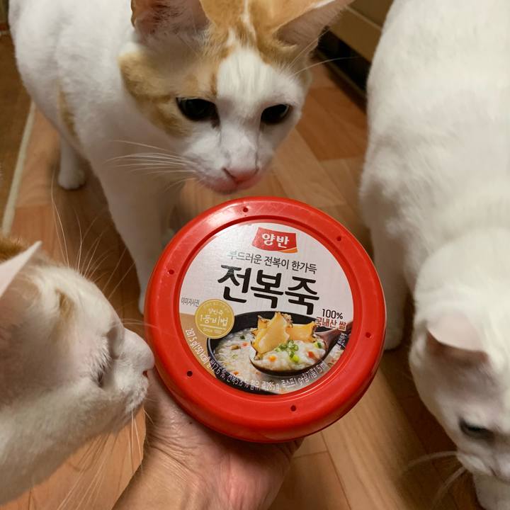 A88d7d10 8b46 4c40 bd04 5ab03d9cdee7 1606232245931