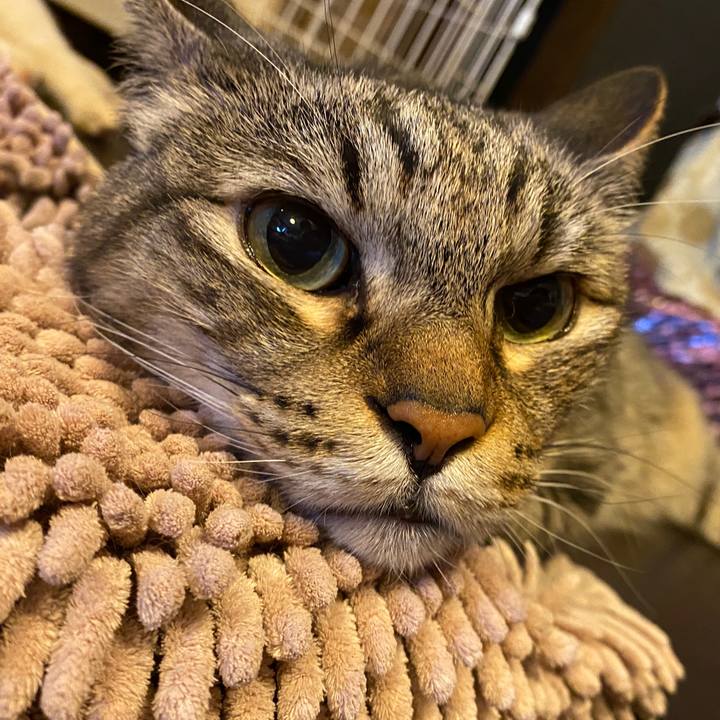 A88d8096 8848 4367 98f1 795c6f7f653e 1632030613344