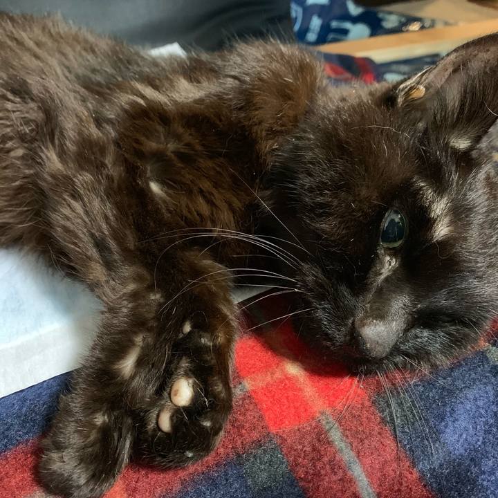 A88d8c4f 3539 47e3 981b b180516471d1 1545527487599