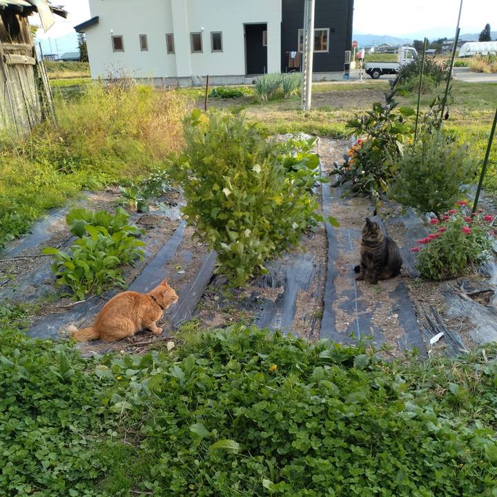 A88dac46 7cc8 4842 bcbf aaf9a68d470a 1666250298309