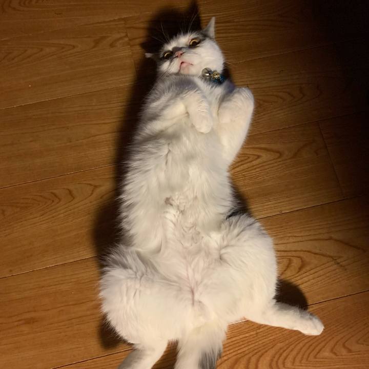 A88dbcc1 ab57 4eec ac88 854c6cd33185 1636032721688