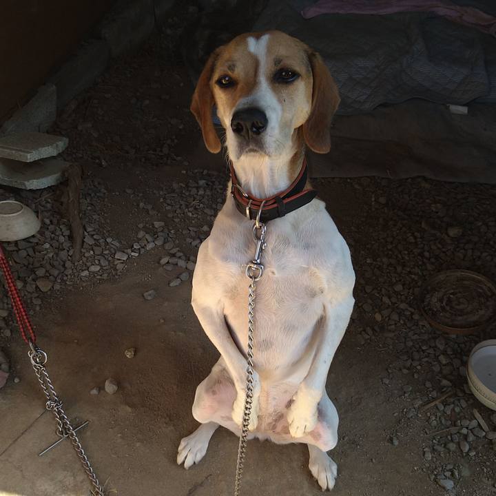 A88e2dae 2f3f 4151 b63e 16a2d25ad384 1633671876316