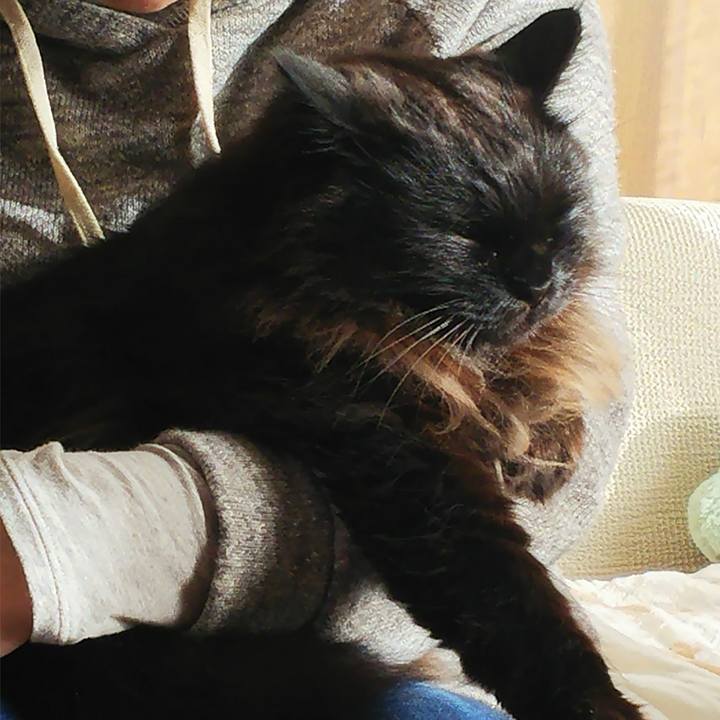 A88e6d61 f1b6 4be0 82a0 60e974850019 1514954764242