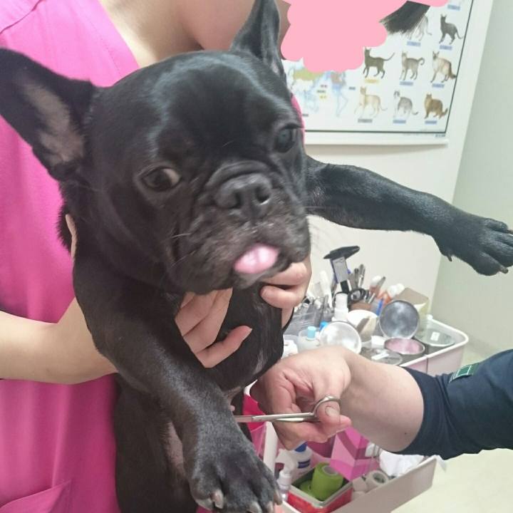 A88e7472 48d0 42c7 bf64 441c15cc7faf 1512740963474