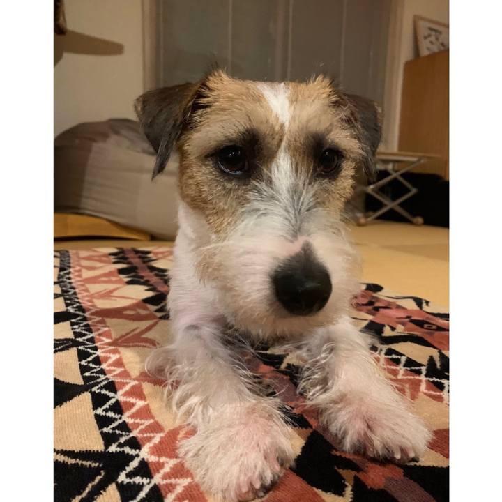 A88e750f dd25 4985 852f 7483418c431f 1599315459847