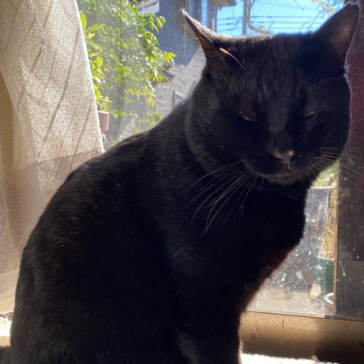 A88e8cc6 68c5 4b00 bb5c 9466db5b11d1 1636694058492