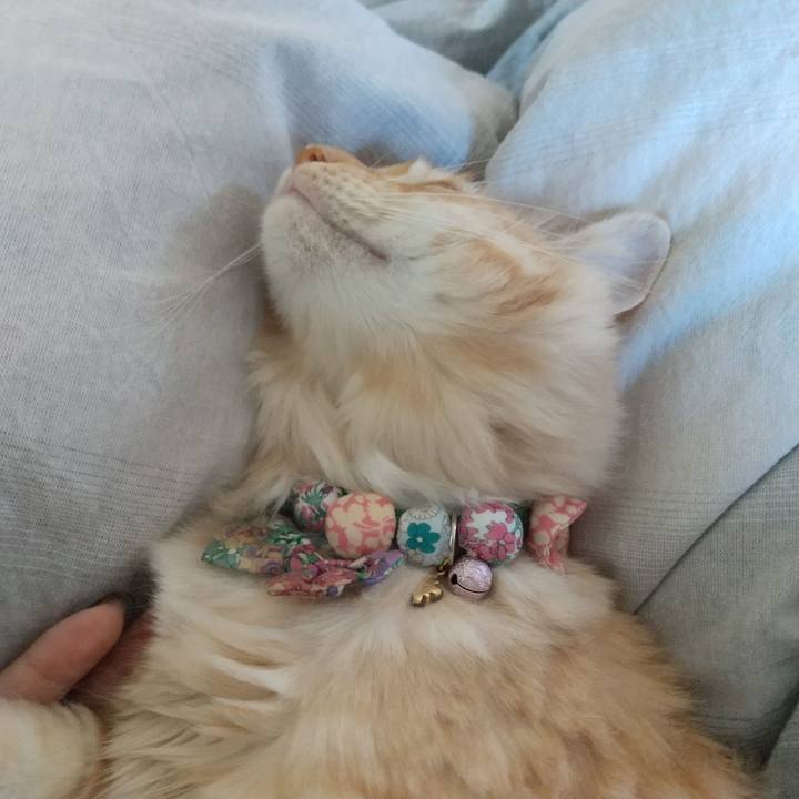 A88ea4b5 3214 4a08 afe3 24918cb631cf 1635040644681