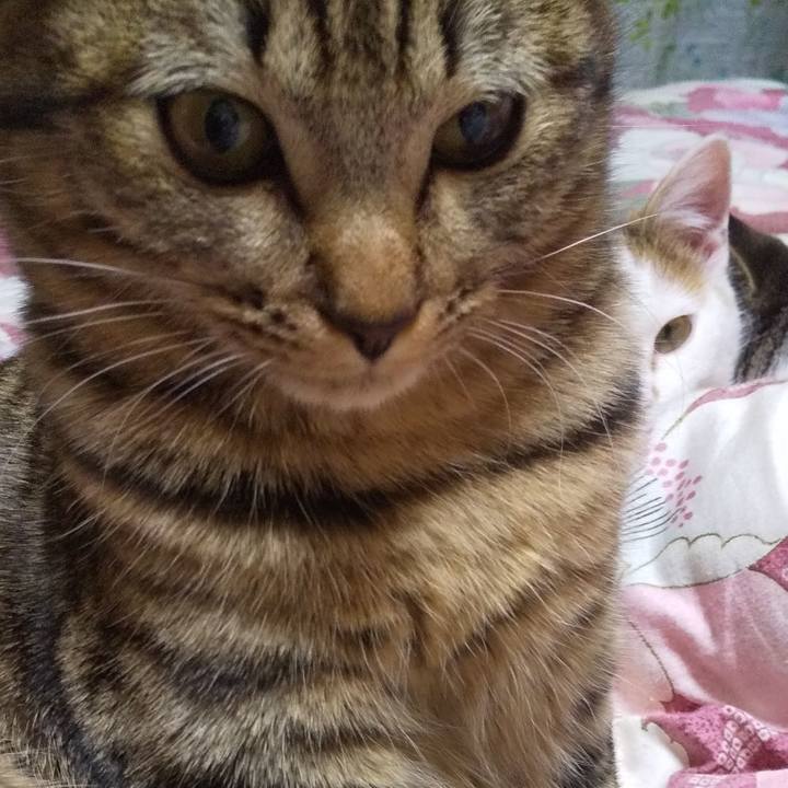 A88ee1fb 5766 4cd9 95ac 1198dae7df50 1644507836963