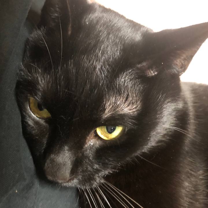 A88f31d4 b6ec 4eb3 bea4 9d7f7325905b 1703843830190