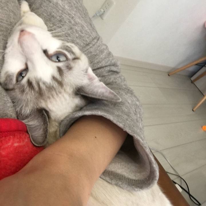 A88f56de d692 4179 a8e6 ef70ce6ad26e 1514685732040