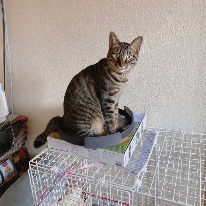 A88faf34 4d3b 4ea8 9cea d518933d79f8 1576806471580