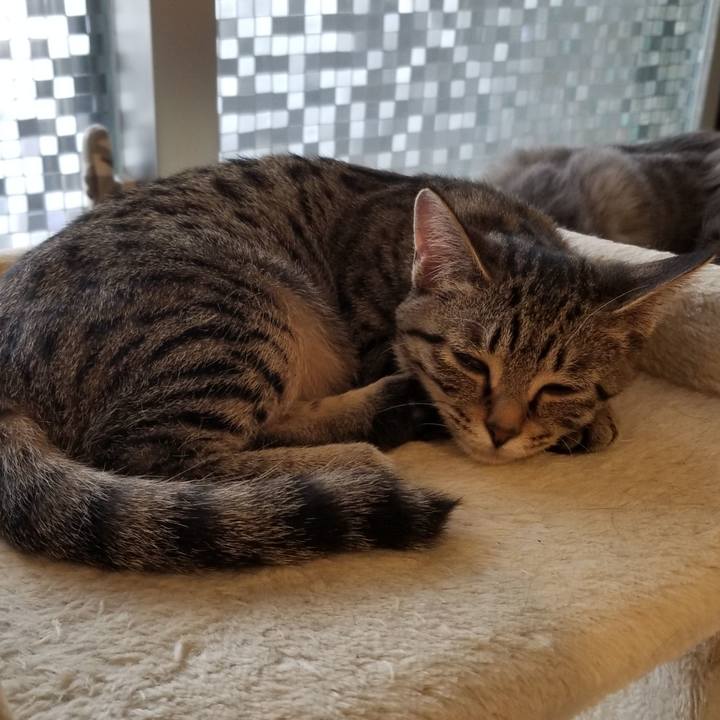 A88fd804 3de3 4056 a8fd 08973a569dca 1540267782222