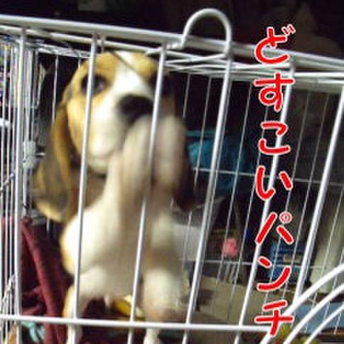 A88ff7be 90f9 41ab b86f df74bf498072 1677123015143