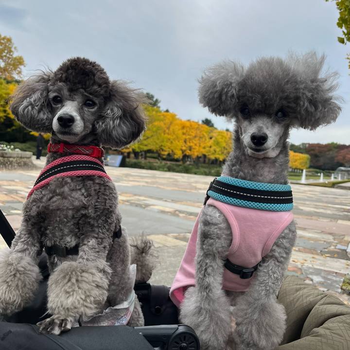 A89013f3 e28d 4341 8ceb 957169a5a1ae 1763271136847